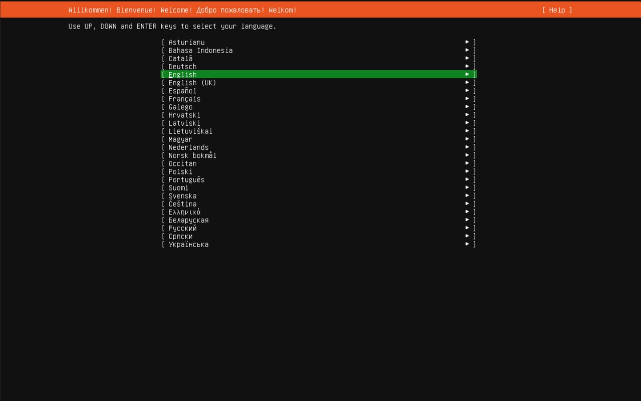 Ubuntu installer language selection screen