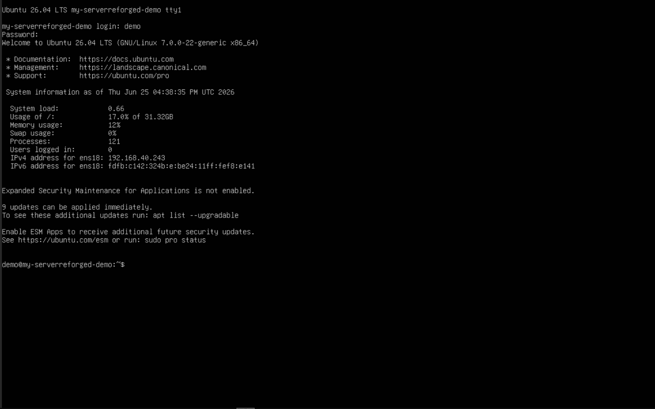 Logged in, showing the command prompt